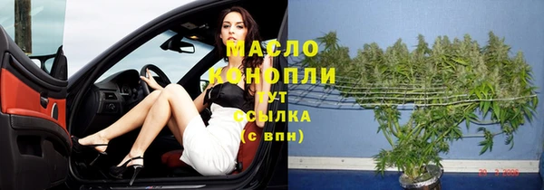 молекула духа Дмитриев